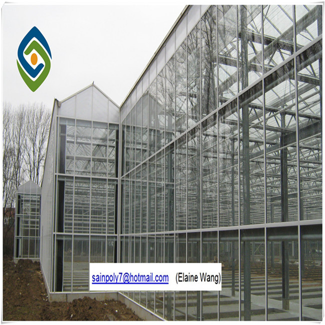 China Factory High Quality PC Sheet Greenhouse for Tomato