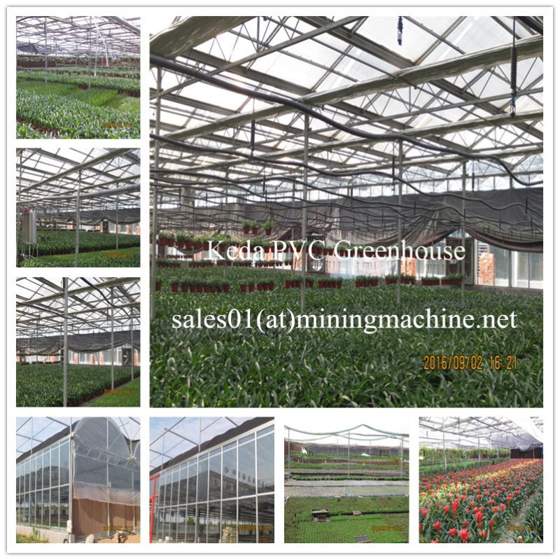 Plastic Film for Greenhouse, Easily Assembled Glass Garden Greenhouse
