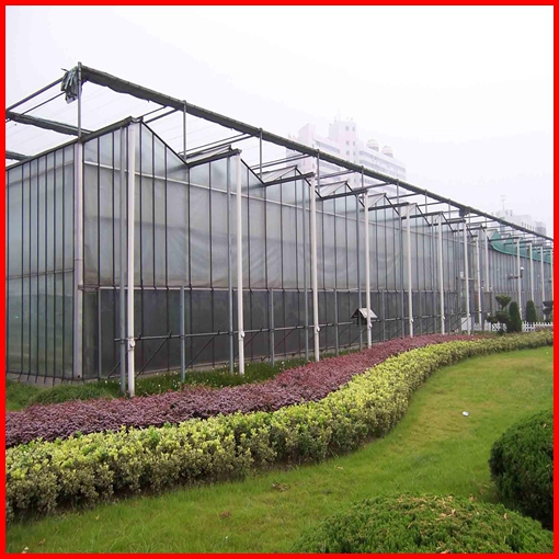 China Agriculture Multi-Span Polycarbonate Sheet Greenhouse for Vegetables