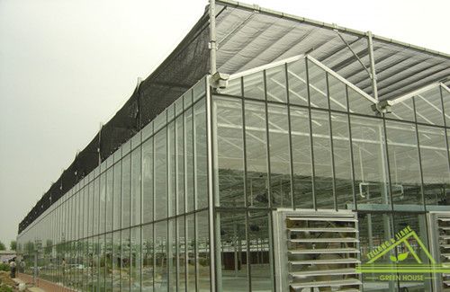 Venlo Glass Greenhouse for Agriculture