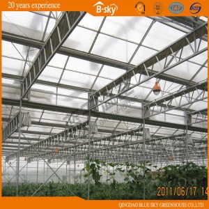 High Quality Long Life-Span Venlo Structure Glass Greenhouse