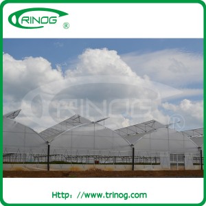 Cheap Commercial Greenhouse for Agricultural Use