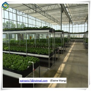 Venlo Glass Greenhouse with Hydroponic System
