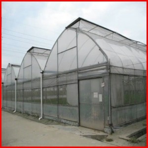 Agriculture Farm Multi Span Plastic Greenhouse Cover for Sale