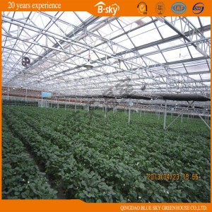 Beautiful Venlo Type Multi-Span Glass Greenhouse for Planting Vegetables&amp;Fruits