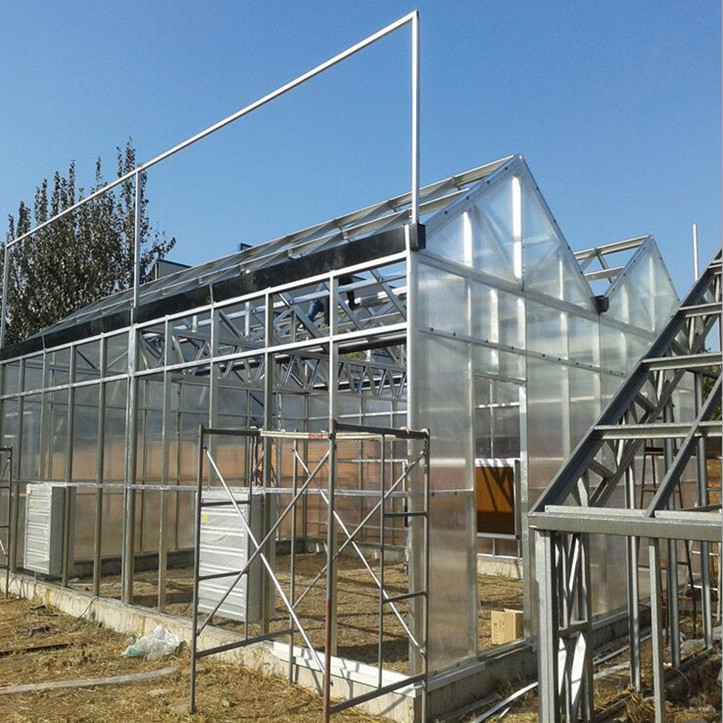 PC Growing Greenhouse for Hydroponics Nft Lettuce