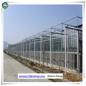 Factory Price Glass Greenhouse for Growing Cucumber