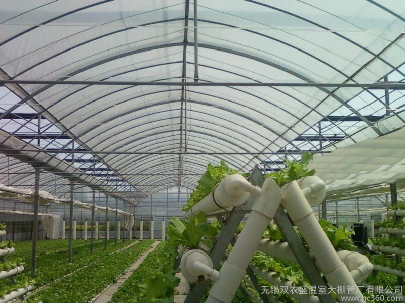 Multi-Span Gothic Film & PE Greenhouse