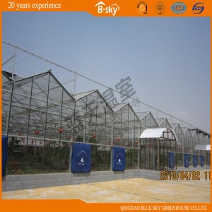 Beautiful Long Life-Span Venlo Structure Glass Green House