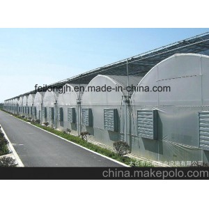 Multi-Span Gothic Film &amp;amp; PE Greenhouse