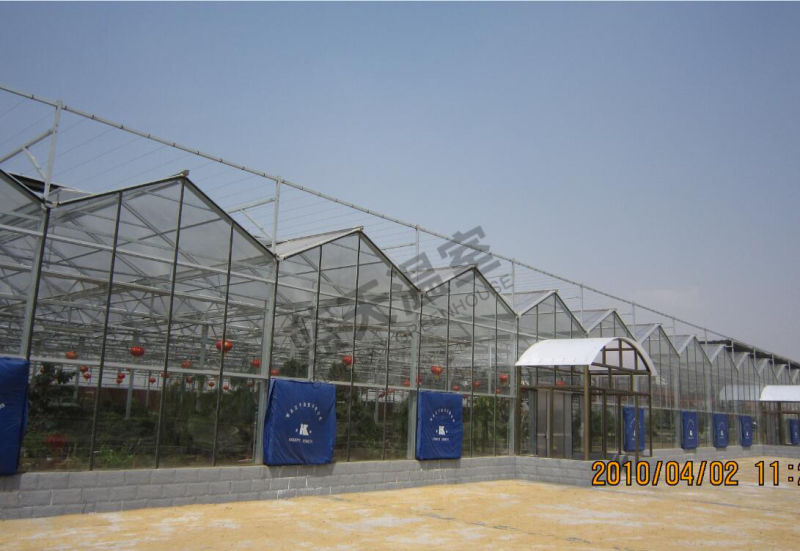 Extensively Used Beautiful Multi-Span Glass Greenhouse
