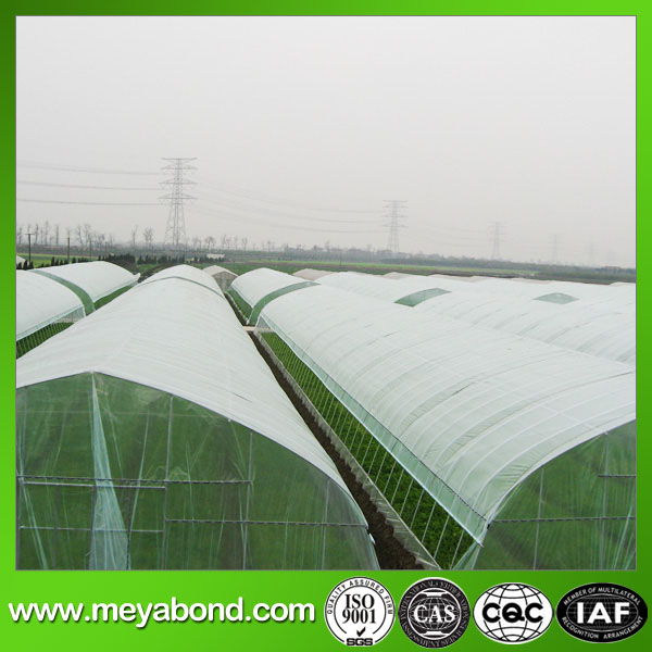 4m Width 50mesh Anti Insect Net Anti Aphid Net Insect Proof Net for Greenhouse