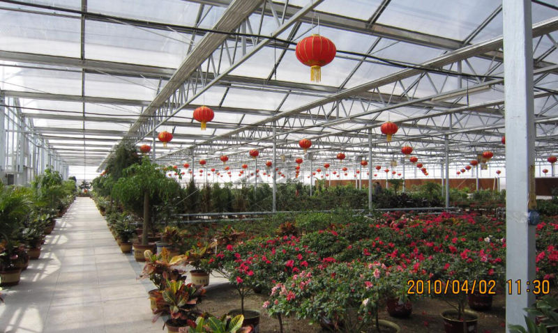 High Quality Long Life-Span Venlo Structure Glass Green House