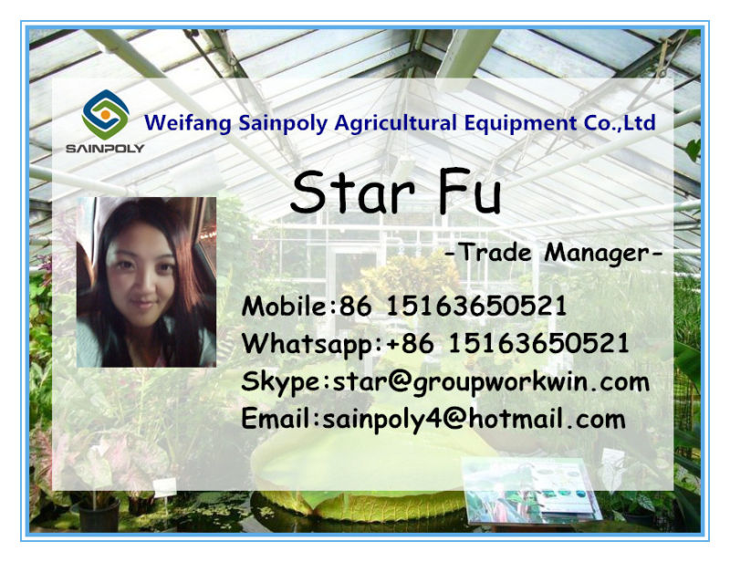 China Manufacturer Multi-Span Film Greenhouse for Pepper