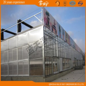 High Quality Long Life-Span Venlo Structure Glass Green House