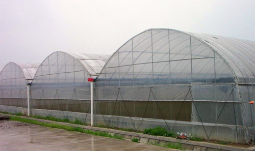 Zigzag Roof Plastic Film Greenhouse Hot Sales