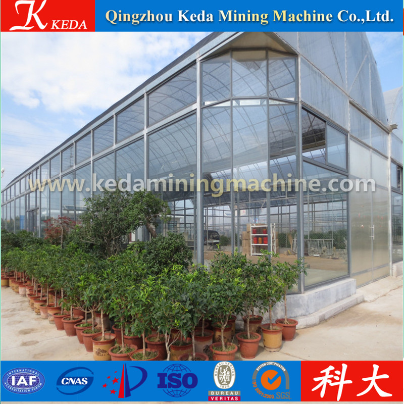 Factory- Direct Glass Galvanized Pipe Garden Cabage Greenhouse for Sale