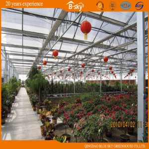 Extensively Used Beautiful Multi-Span Glass Greenhouse