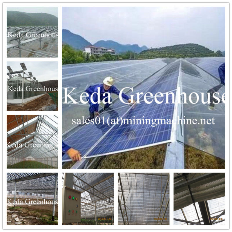 Agticulture Plastic Glass Vegetable Greenhouse for Sale