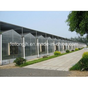Best Selling Commercial Multi-Span PC Greenhouse for Vegetable Growing