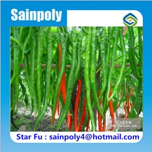 China Manufacturer Multi-Span Film Greenhouse for Pepper