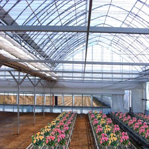 Tunnel Greenhouse Arch Roof Greenhouse for Vegetables
