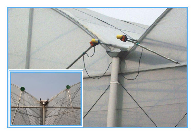 China Manufacturer Multi-Span Film Greenhouse for Pepper