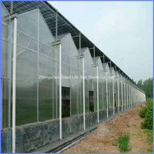 Transparent/Opal White/Blue/Green/Lake Blue/Bronze PC Sheet Greenhouse