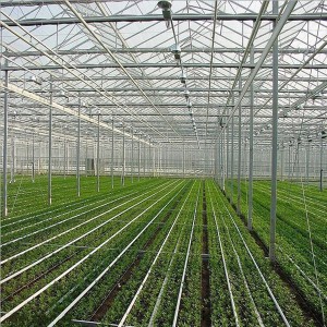 Glass Greenhouse for Flower or Vegetables