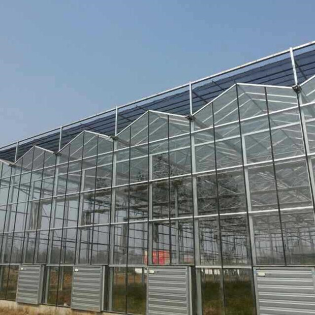 Glass Greenhouse for Flower or Vegetables