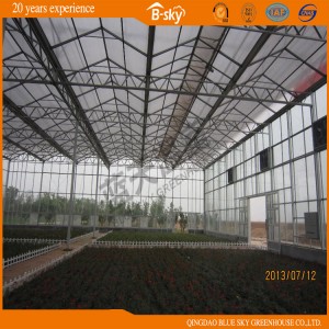 Durable Venlo Type Multi-Span Glass Greenhouse for Planting Vegetables&amp;Fruits