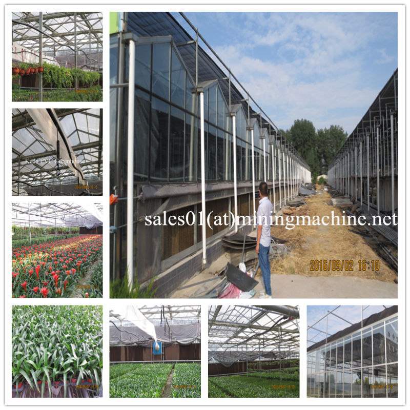 Glass and PC Sheet Venlo Green House Manufacturer for Exporting