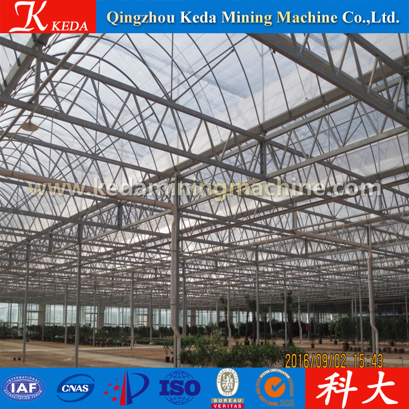 Factory- Direct Glass Galvanized Pipe Garden Cabage Greenhouse for Sale
