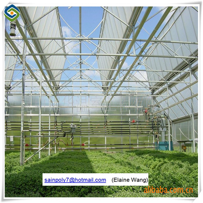 Factory Price Glass Greenhouse for Growing Cucumber