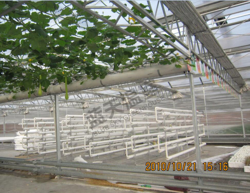 Long Lfie-Span Glass Greenhouse for Planting Vegetables and Fruits