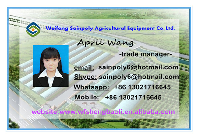 High Quality Plastic-Film Greenhouse for Agriculture