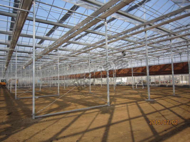Hollow Glass Greenhouse for Agricultural Planting