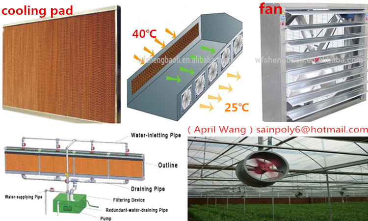 Hot Sale Plastic-Film Greenhouse for Agricultural