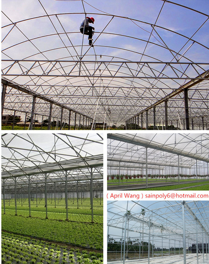 Low Price Plastic-Film Greenhouse for Vegetable