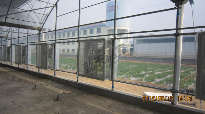 Po Film Greenhouse with Seeding Bed