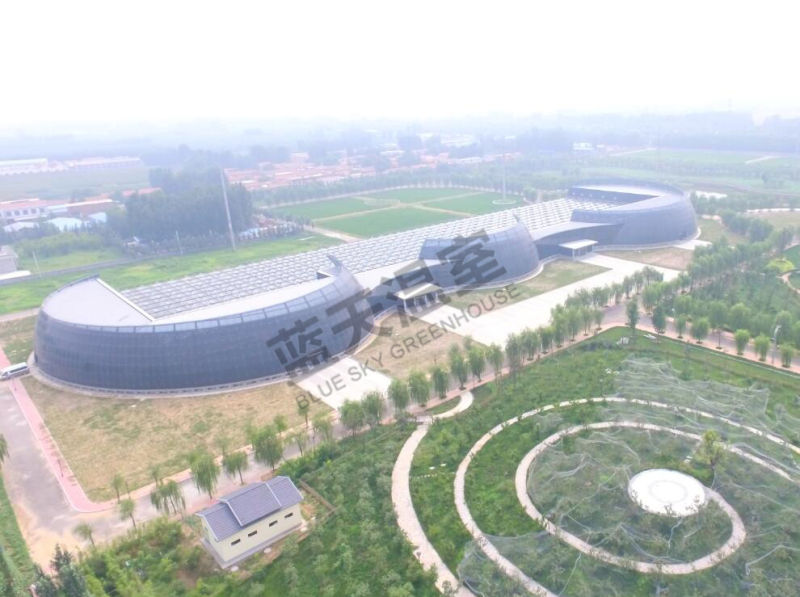 Venlo Type Multi-Span Glass Greenhouse for Agricultural Planting