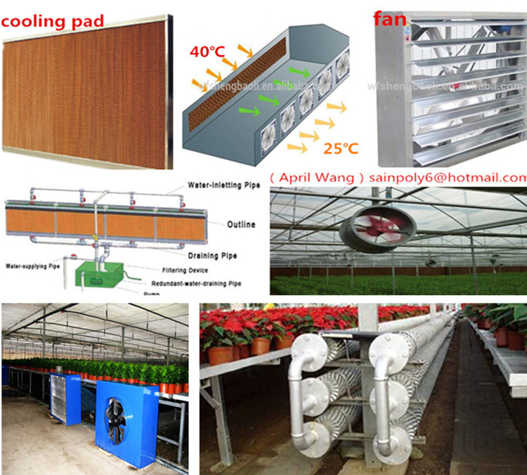 Low Price Plastic-Film Greenhouse for Vegetable