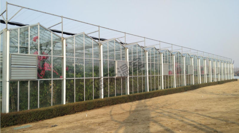 Popular Glass Picking Garden Greenhouse