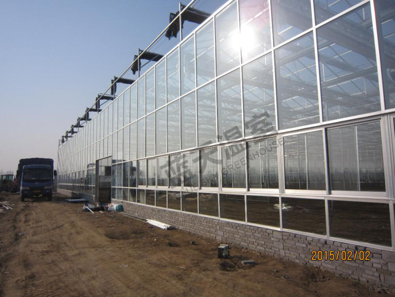 Venlo Type Greenhouse with Hollow Glass Covered