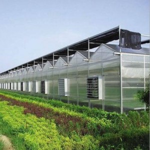 PC Agricultural Greenhouse for Plants and Vegetables