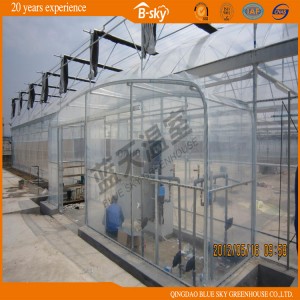 Seeding Plasctic Film Greenhouse with High Transmittance