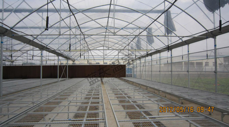 Seeding Plasctic Film Greenhouse with High Transmittance