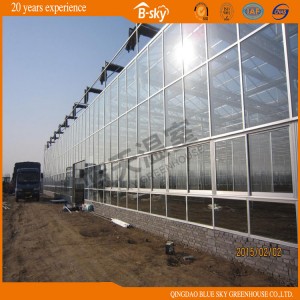 Agricultural Planting High Cost Performance Glass Greenhouse