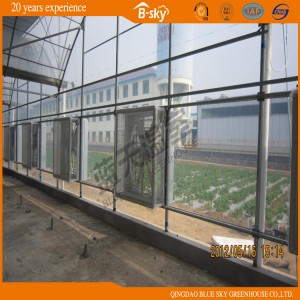 Agricultural Tunnel Multi-Span Film Greenhouse