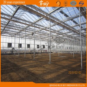 Hollow Glass Greenhouse for Agricultural Planting